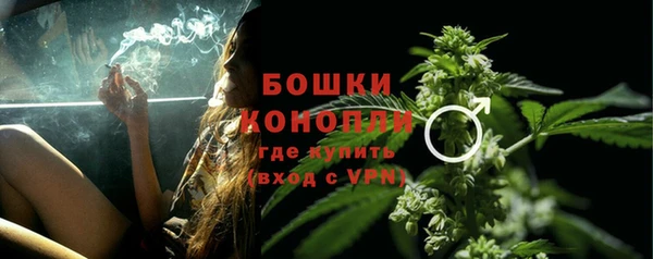индика Нея