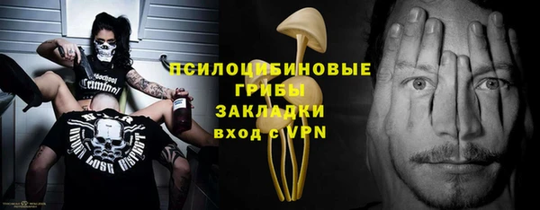 a pvp Аркадак