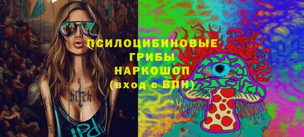 a pvp Аркадак
