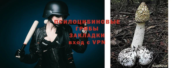 a pvp Аркадак